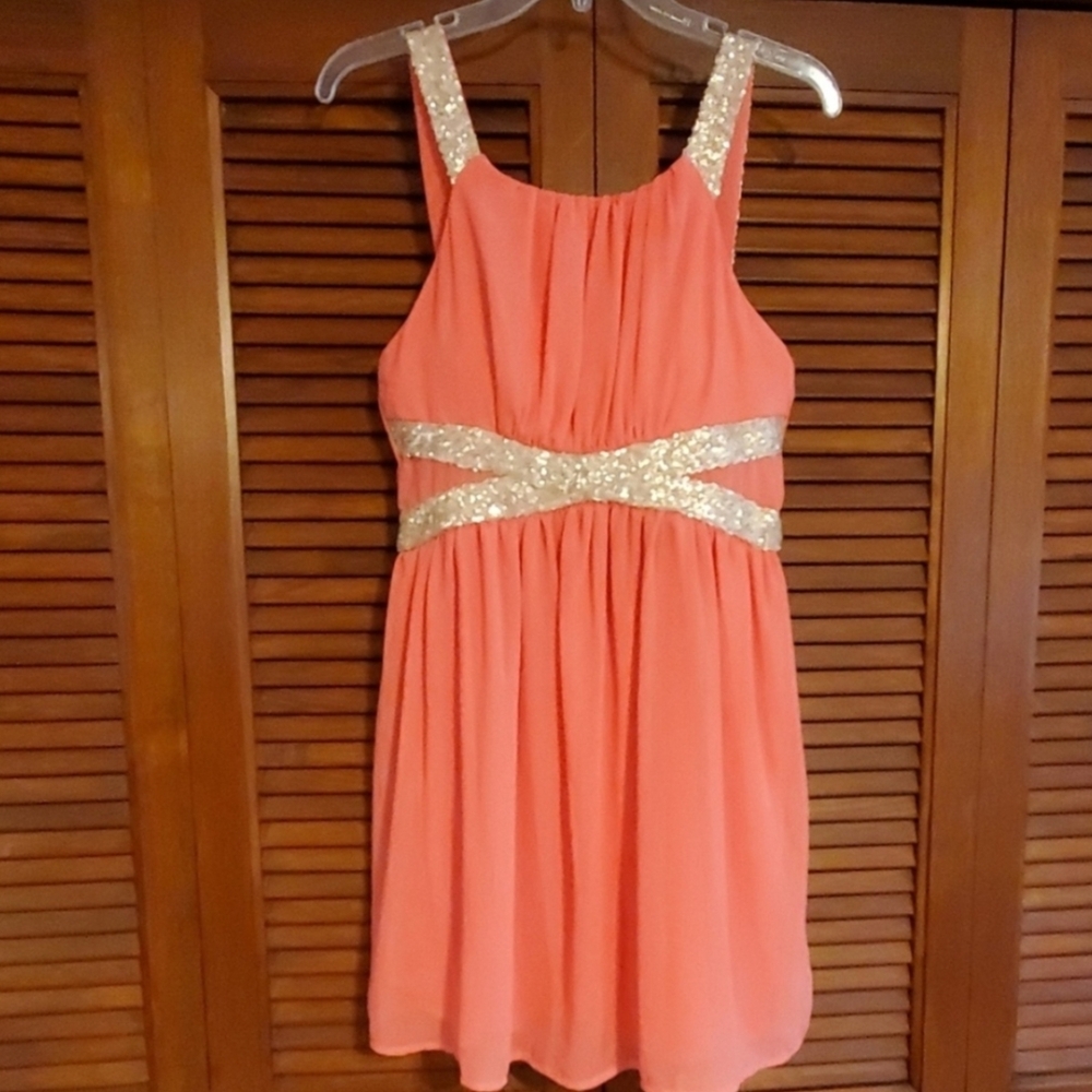 NWT Banjul Coral Dress with Gold Accents